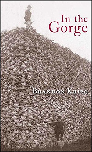 Cover for In the Gorge