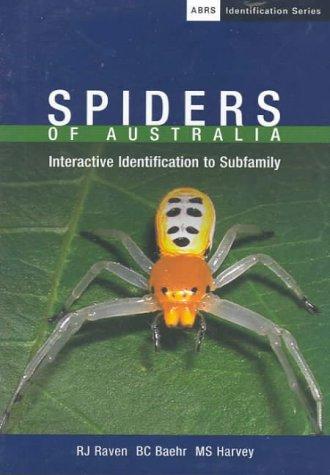 Cover for Spiders of Australia