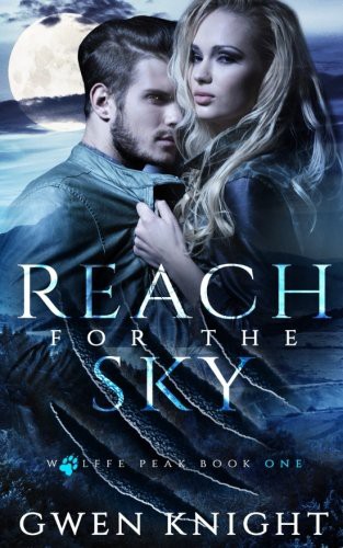 Cover for Reach for the Sky