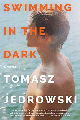 Cover for Swimming in the Dark