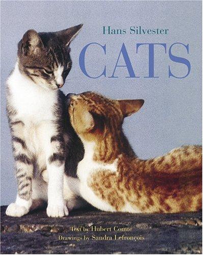 Cover for A child's guide to cats