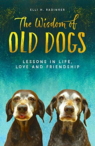 Cover for The Wisdom of Old Dogs