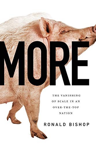 Cover for More