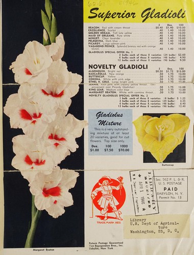 Cover for Superior gladioli
