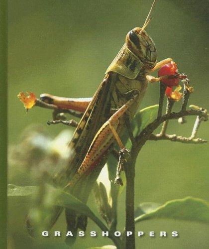 Cover for Grasshoppers (The World of Insects)