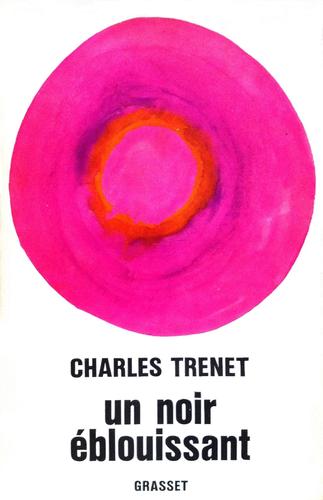 Cover for Un noir éblouissant
