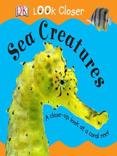 Cover for Sea Creatures