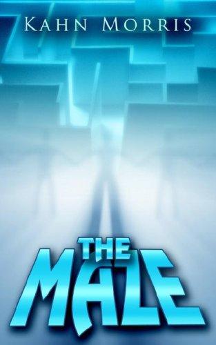 Cover for The Maze