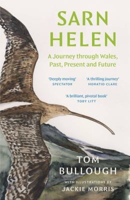 Cover for Sarn Helen