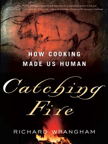 Cover for Catching Fire