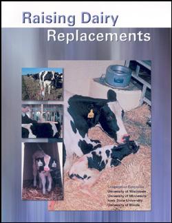 Cover for Raising dairy replacements