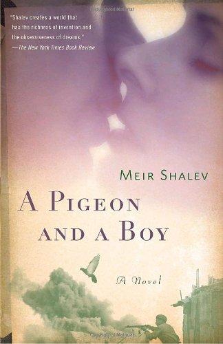 Cover for A Pigeon and a Boy