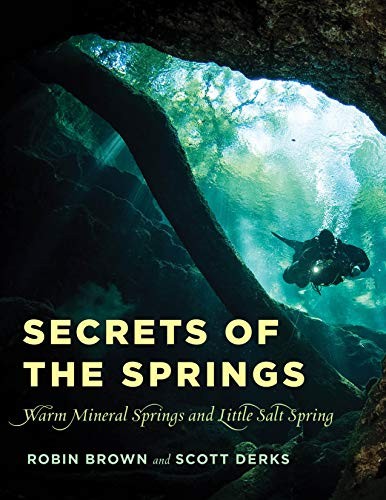 Cover for Secrets of the Springs