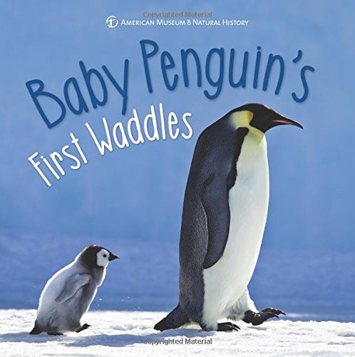 Cover for Baby Penguin's First Waddles