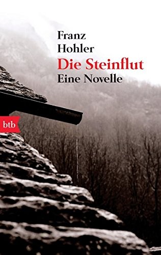 Cover for Die Steinflut