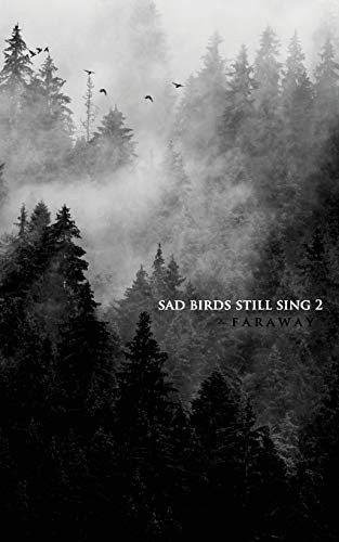 Cover for Sad Birds Still Sing 2