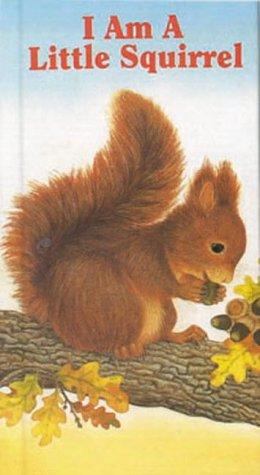 Cover for I Am a Little Squirrel (Little Fury Friends)