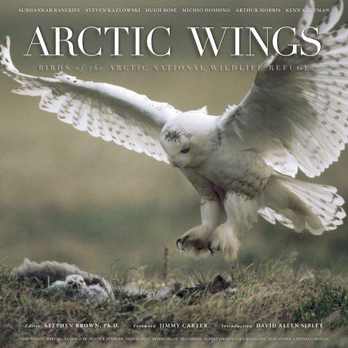 Cover for Arctic Wings