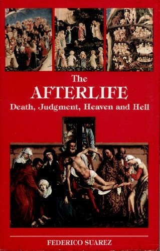 Cover for The afterlife