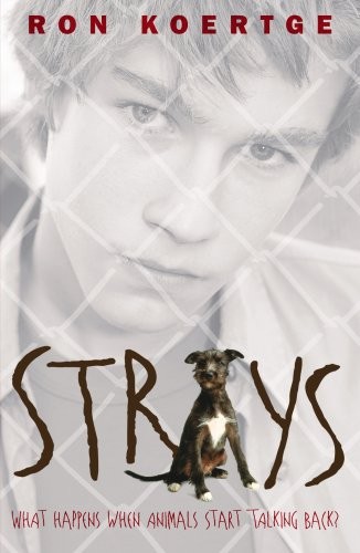 Cover for Strays