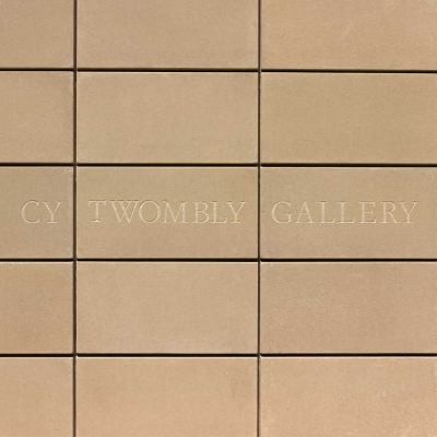 Cover for Cy Twombly Gallery The Menil Collection Houston