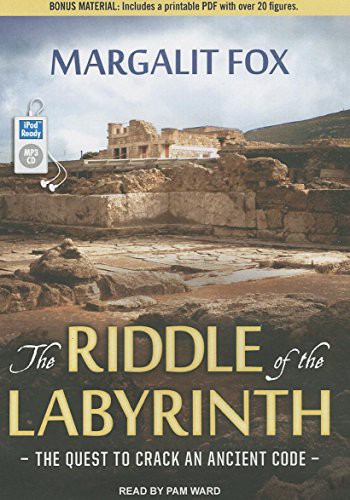 Cover for The Riddle of the Labyrinth