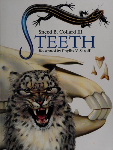 Cover for Teeth