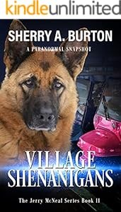 Cover for Village Shenanigans