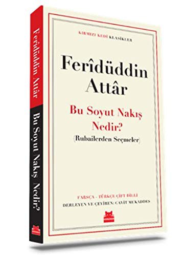 Cover for Bu Soyut Nakis Nedir?; Rubailerden Secmeler - Klasikler