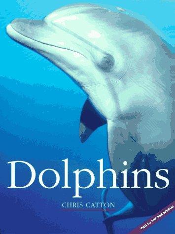 Cover for Dolphins