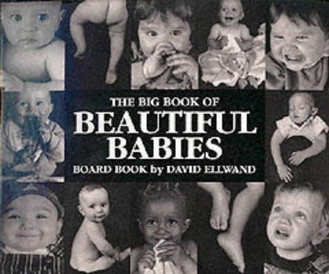 Cover for Big Book of Beautiful Babies