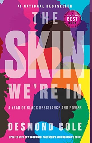 Cover for The Skin We're In