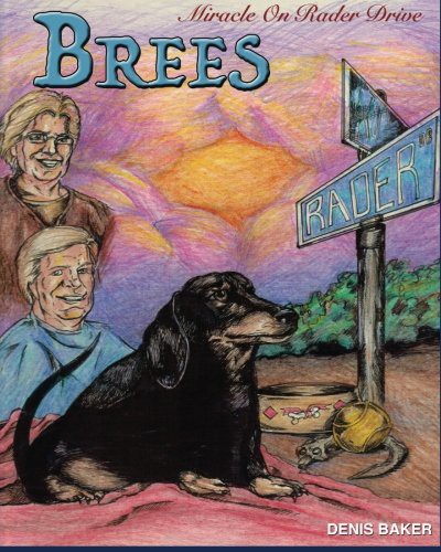 Cover for Brees - Miracle On Rader Drive