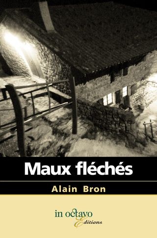 Cover for Maux fléchés