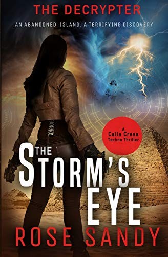 Cover for The Decrypter - The Storm's Eye
