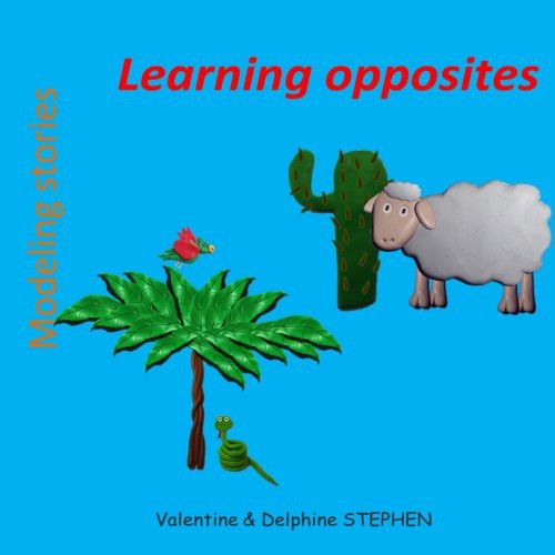 Cover for Learning opposites