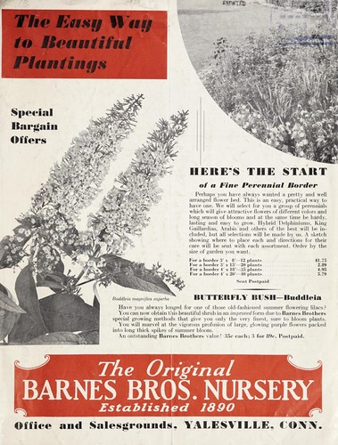 Cover for Special bargain offers
