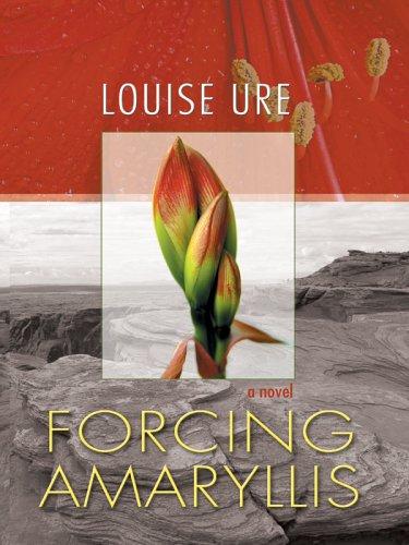 Cover for Forcing Amaryllis