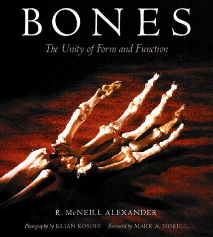 Cover for Bones