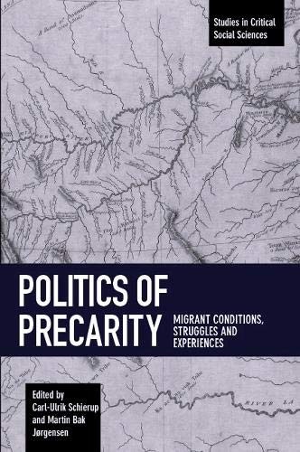 Cover for Politics of Precarity