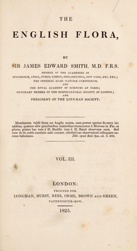 Cover for The English flora