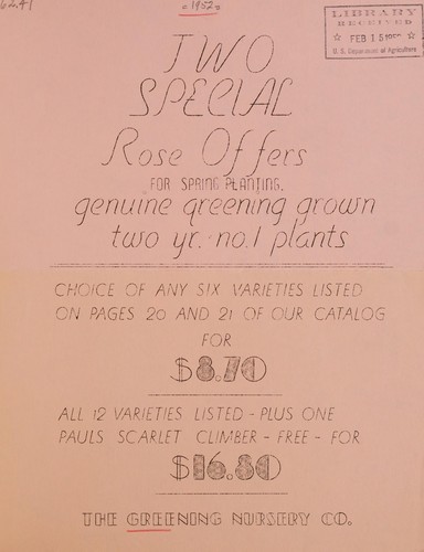 Cover for Two special rose offers for spring planting