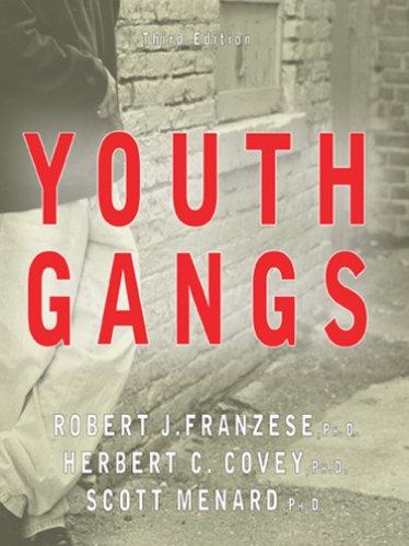 Cover for Youth Gangs