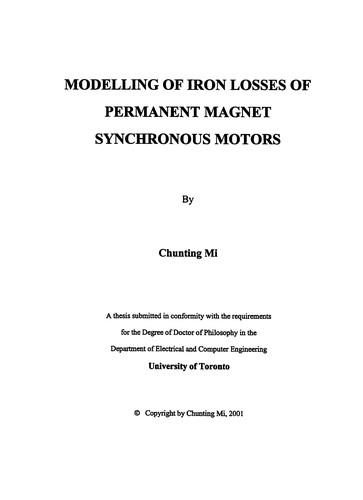 Cover for Modelling of iron losses of permanent magnet synchronous motors.