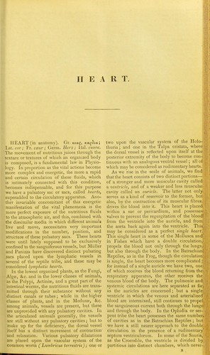 Cover for Heart