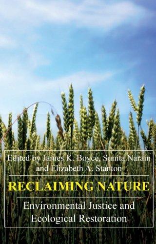 Cover for Reclaiming Nature