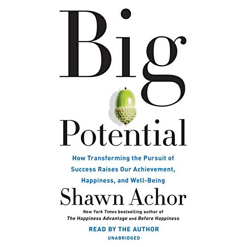 Cover for Big Potential