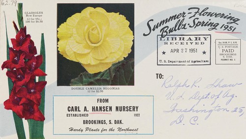 Cover for Summer-flowering bulbs, spring 1951