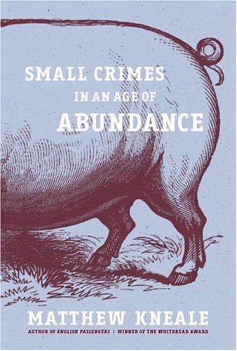 Cover for Small crimes in an age of abundance