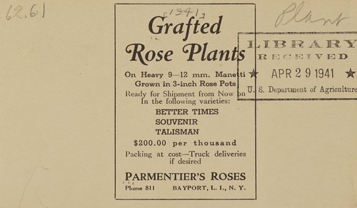 Cover for Grafted rose plants